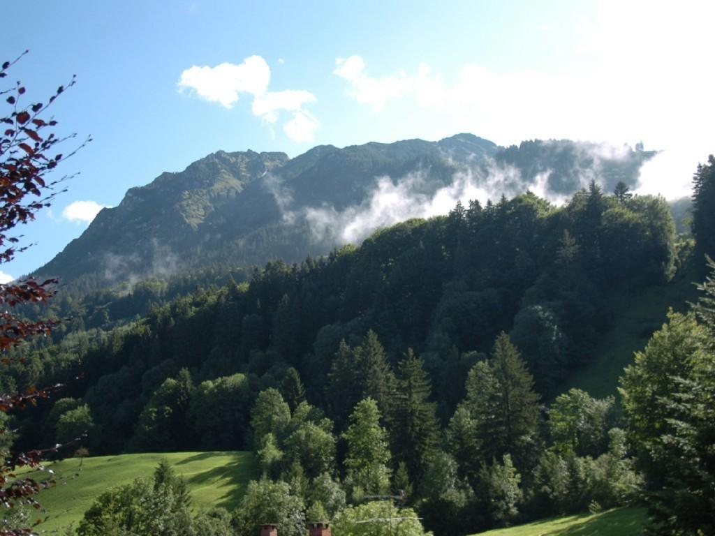 Ferienhaus Arkadia Oberstdorf Rum bild